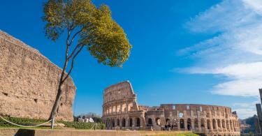 Colosseum as seen from the Palatine Hill in Rome, Italy