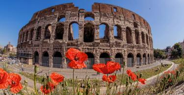 Colosseum during spring time, Rome, Italy