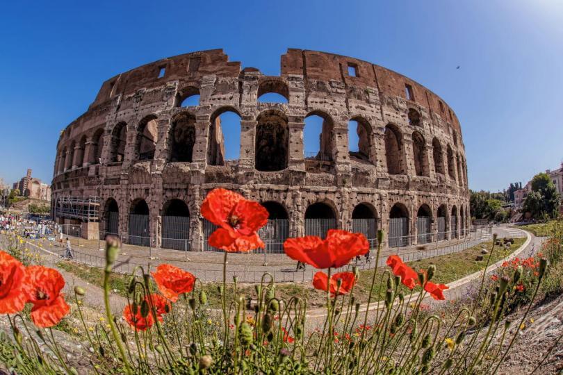 Colosseum during spring time, Rome, Italy