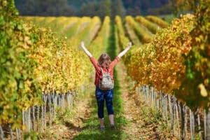 Things to do in Tuscany- Woman tourist walking in Tuscan vineyards in Val d'Orcia, Tuscany, Italy