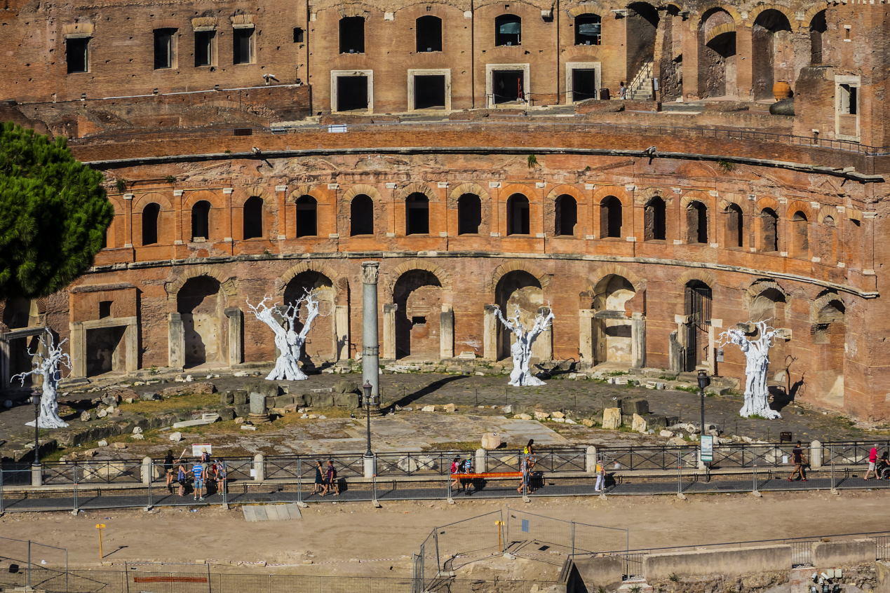 Trajan's Market - Colosseum Rome Tickets