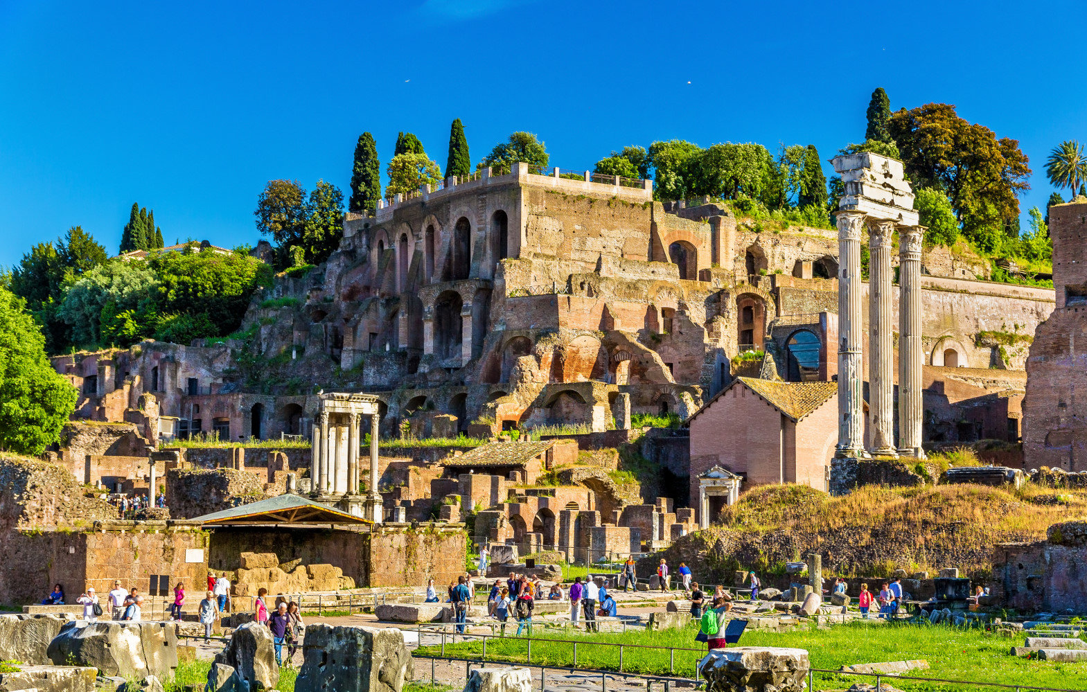 Domus Tiberiana - Colosseum Rome Tickets