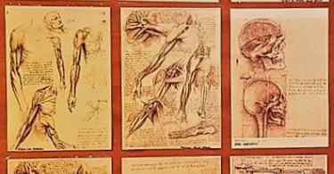 Leonardo da Vinci Machines Exhibition