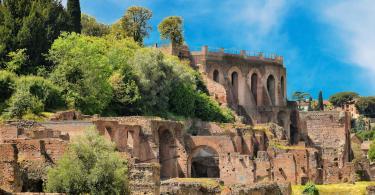 Colosseum Express Guided Tour - Remains of ruined Palatine Hills in Rome