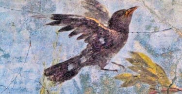 A bird, Roman Fresco-2, Rome, 5th c. A.D., National Roman Museum
