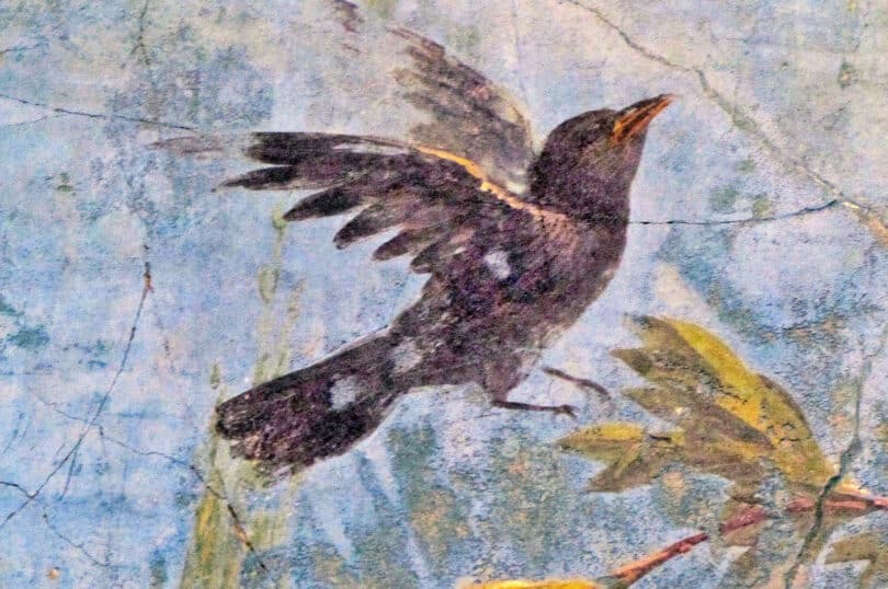 A bird, Roman Fresco-2, Rome, 5th c. A.D., National Roman Museum