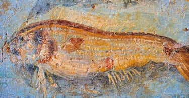 Detail, Fresco of marine life, 5th. c. A.D, National Roman Museum, Rome, Italy.
