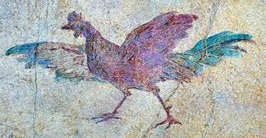 Fresco of a chicken 5th C. A.D,National Roman Museum Rome.