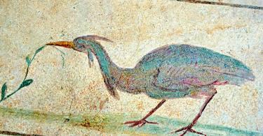 Fresco of an exotic bird, 5th c. A.D, Rome. National Roman Museum, Rome, Italy.