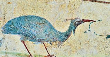 Fresco of an exotic bird, 5th. c. A.D, Rome, Italy.