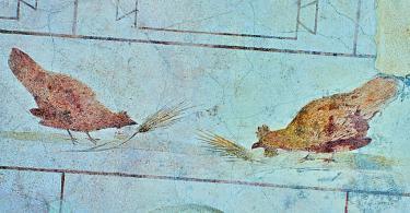 Fresco of chickens 5th c. A.D, Rome, Italy - National Roman Museum