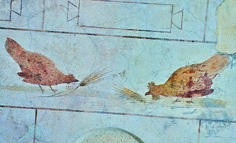 Fresco of chickens 5th c. A.D, Rome, Italy - National Roman Museum