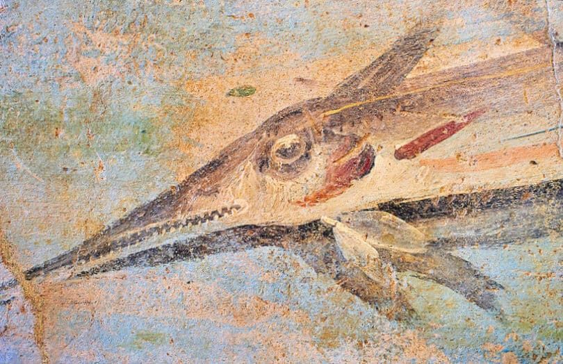 Roman Fresco, 5th c. A.D., Detail of marine National Roman Museum, Rome, Italy (2)