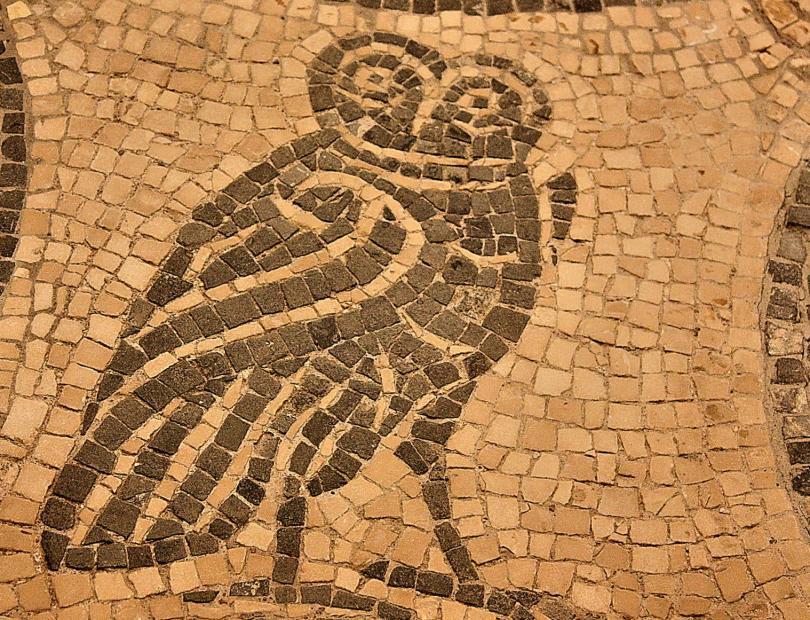 Roman Mosaics of National Roman Museum, Rome (1)