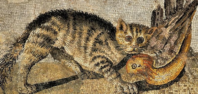 Roman Mosaics of National Roman Museum, Rome (5)