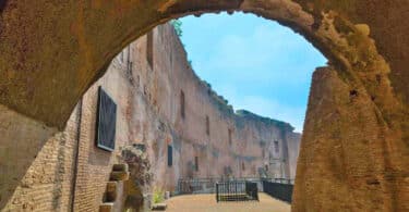 Colosseum Belvedere Guided Tour