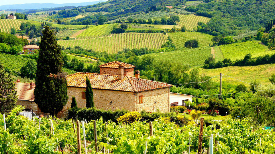 rome to tuscany wine tour