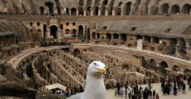 Colosseum Underground and Ancient Rome Guided Tour