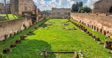 Colosseum, Roman Forum, and Palatine Hill The Ultimate Priority Access Guide